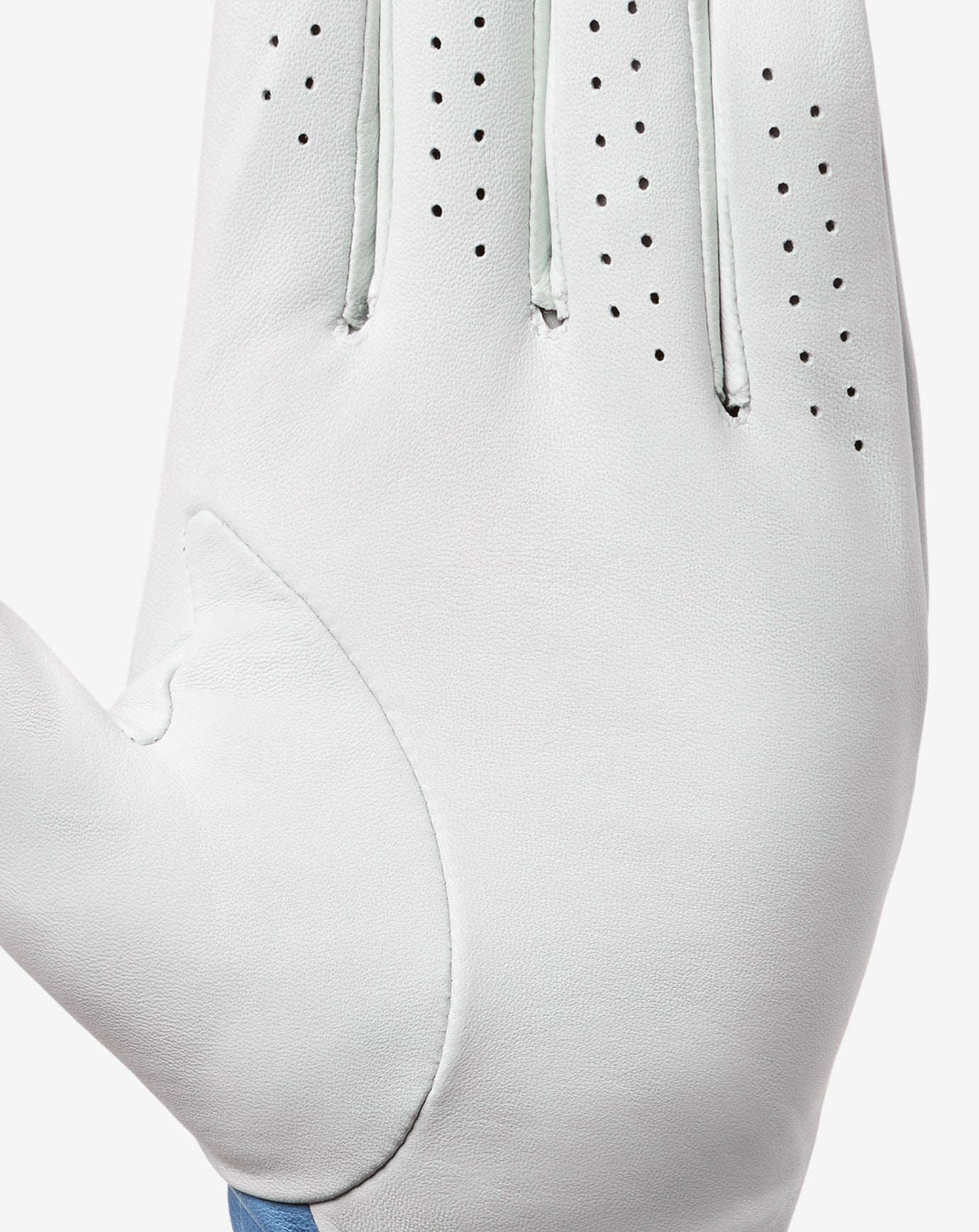 Accessories|Golf Premier Mapes Golf Glove