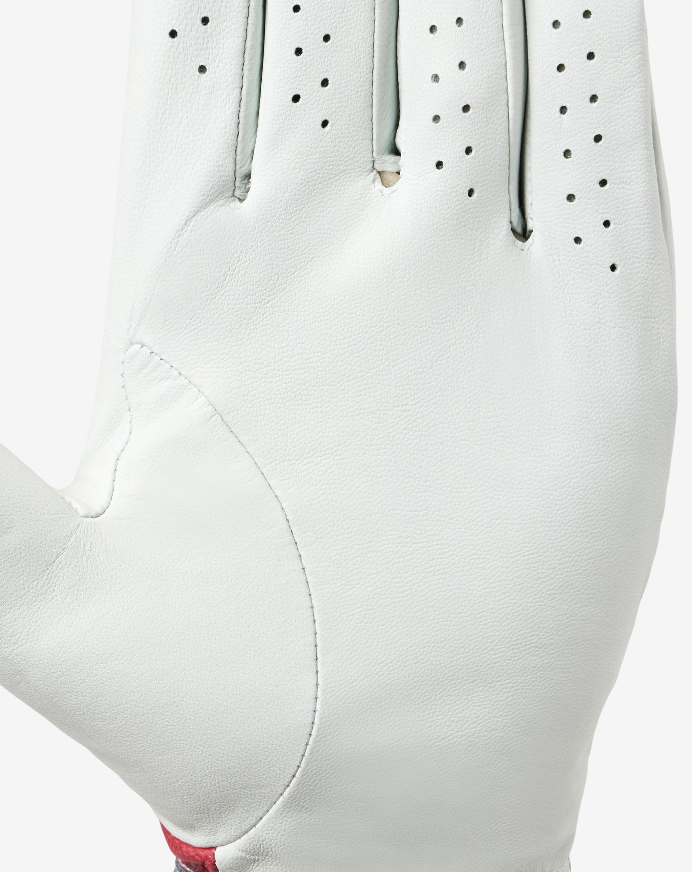 Accessories|Golf Freedom Feast Golf Glove