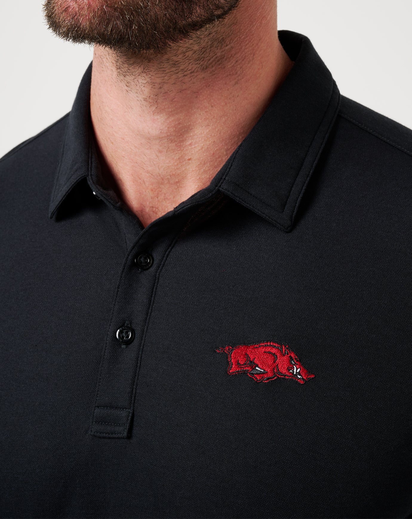Game Day|New Arkansas School Pride Polo